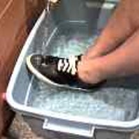  : Gallery : original : 2001 : 08 : T_wet764.jpg