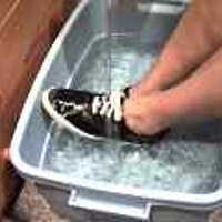  : Gallery : original : 2001 : 08 : T_wet766.jpg