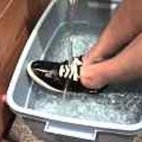  : Gallery : original : 2001 : 08 : T_wet772.jpg