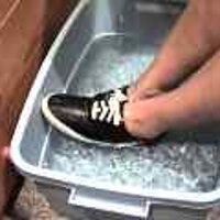  : Gallery : original : 2001 : 08 : T_wet773.jpg