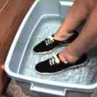  : Gallery : original : 2001 : 08 : T_wet778.jpg