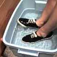  : Gallery : original : 2001 : 08 : T_wet779.jpg