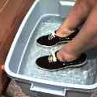  : Gallery : original : 2001 : 08 : T_wet786.jpg