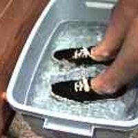  : Gallery : original : 2001 : 08 : T_wet794.jpg