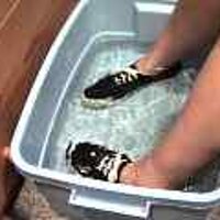  : Gallery : original : 2001 : 08 : T_wet824.jpg