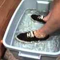  : Gallery : original : 2001 : 08 : T_wet841.jpg