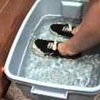  : Gallery : original : 2001 : 08 : T_wet844.jpg
