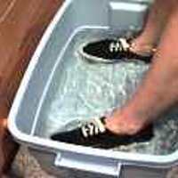  : Gallery : original : 2001 : 08 : T_wet846.jpg