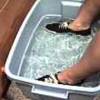  : Gallery : original : 2001 : 08 : T_wet847.jpg