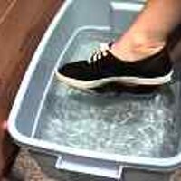  : Gallery : original : 2001 : 08 : T_wet853.jpg
