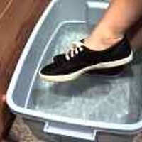  : Gallery : original : 2001 : 08 : T_wet855.jpg