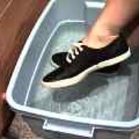  : Gallery : original : 2001 : 08 : T_wet859.jpg