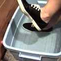 : Gallery : original : 2001 : 08 : T_wet863.jpg