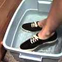 : Gallery : original : 2001 : 08 : T_wet867.jpg