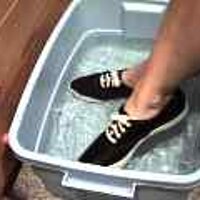  : Gallery : original : 2001 : 08 : T_wet869.jpg