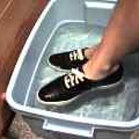  : Gallery : original : 2001 : 08 : T_wet872.jpg