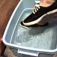  : Gallery : original : 2001 : 08 : T_wet876.jpg