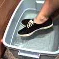  : Gallery : original : 2001 : 08 : T_wet879.jpg