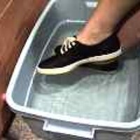  : Gallery : original : 2001 : 08 : T_wet882.jpg