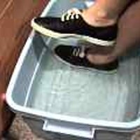  : Gallery : original : 2001 : 08 : T_wet883.jpg