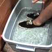  : Gallery : original : 2001 : 08 : T_wet885.jpg