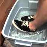  : Gallery : original : 2001 : 08 : T_wet889.jpg