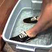  : Gallery : original : 2001 : 08 : T_wet891.jpg