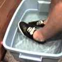  : Gallery : original : 2001 : 08 : T_wet892.jpg