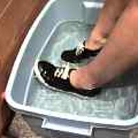  : Gallery : original : 2001 : 08 : T_wet893.jpg