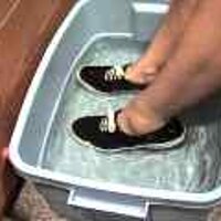  : Gallery : original : 2001 : 08 : T_wet897.jpg