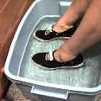  : Gallery : original : 2001 : 08 : T_wet898.jpg