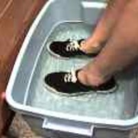  : Gallery : original : 2001 : 08 : T_wet899.jpg