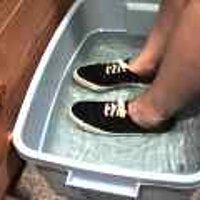  : Gallery : original : 2001 : 08 : T_wet900.jpg