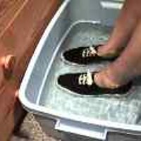  : Gallery : original : 2001 : 08 : T_wet902.jpg