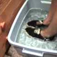  : Gallery : original : 2001 : 08 : T_wet906.jpg