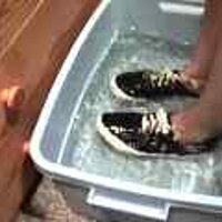  : Gallery : original : 2001 : 08 : T_wet908.jpg
