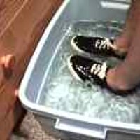  : Gallery : original : 2001 : 08 : T_wet909.jpg