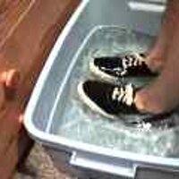  : Gallery : original : 2001 : 08 : T_wet910.jpg