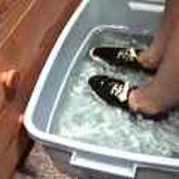  : Gallery : original : 2001 : 08 : T_wet911.jpg