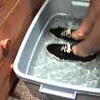  : Gallery : original : 2001 : 08 : T_wet912.jpg