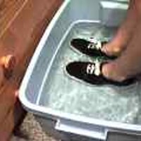 : Gallery : original : 2001 : 08 : T_wet913.jpg