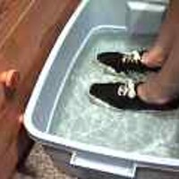  : Gallery : original : 2001 : 08 : T_wet914.jpg