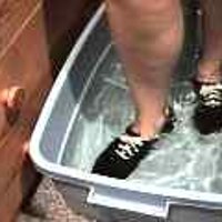  : Gallery : original : 2001 : 08 : T_wet920.jpg