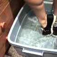  : Gallery : original : 2001 : 08 : T_wet924.jpg