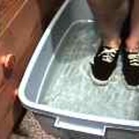  : Gallery : original : 2001 : 08 : T_wet926.jpg