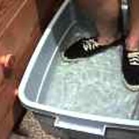  : Gallery : original : 2001 : 08 : T_wet929.jpg