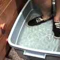  : Gallery : original : 2001 : 08 : T_wet930.jpg
