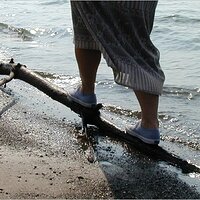  : Gallery : original : 2001 : 16 : P9090062.JPG