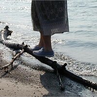  : Gallery : original : 2001 : 16 : P9090063.JPG