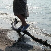  : Gallery : original : 2001 : 16 : P9090064.JPG